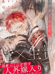 丹鼎仙途 炼丹修真小说